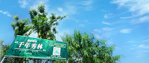 1.webp.jpg 1.webp.jpg