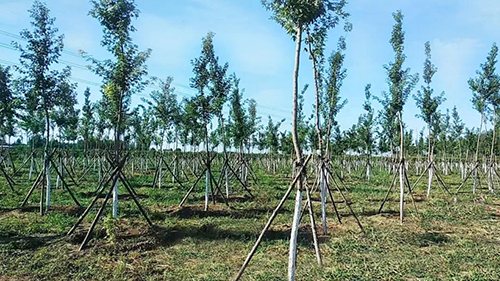 2.webp.jpg 2.webp.jpg